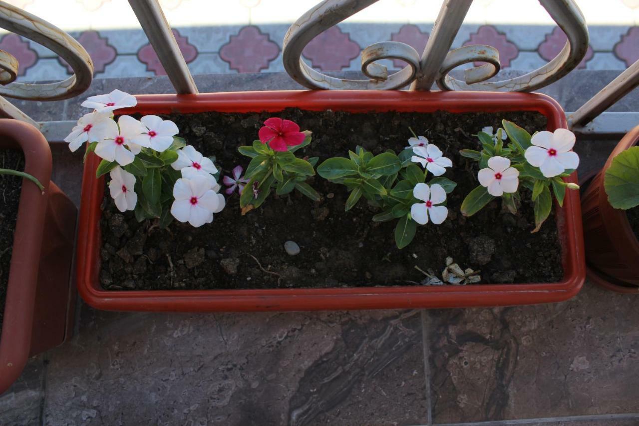 Guest House Etnodom Jalal-Abad Esterno foto